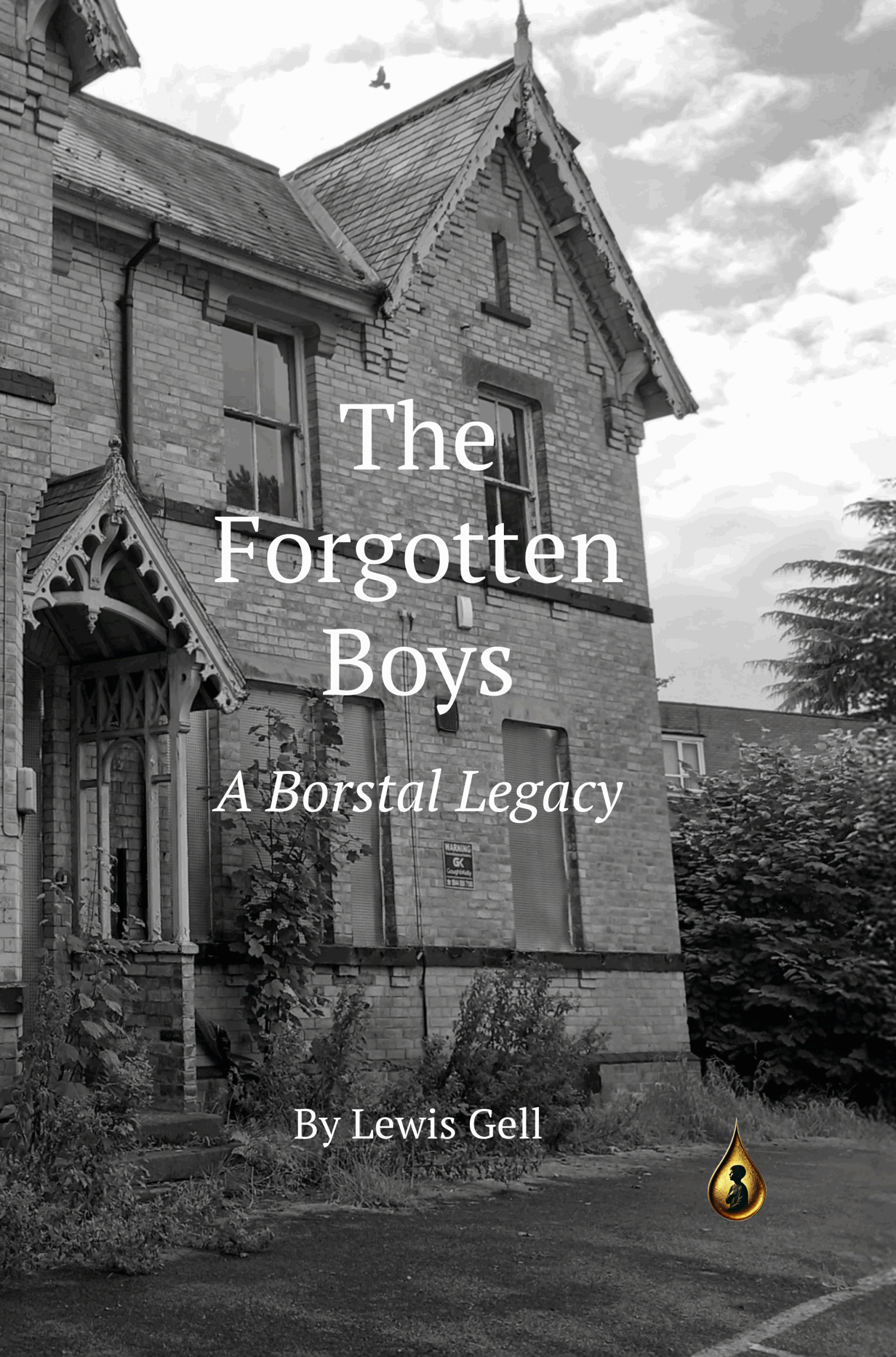 The Forgotten Boys Book Cover